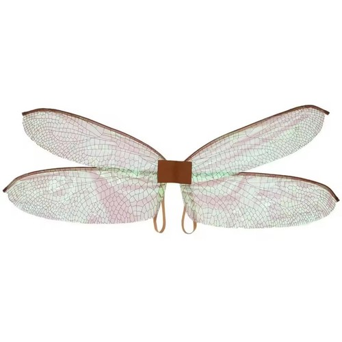 Ali libellula iridescente - libellula,